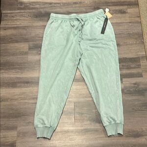 Jane and Delancey Light Green Joggers